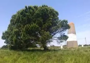 Serra de Serves,