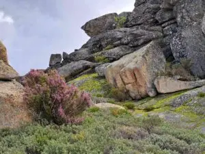 vila do carvalho, serra da estrela,