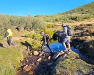 sanabria,