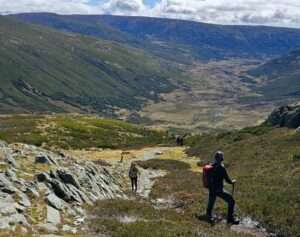 sanabria,