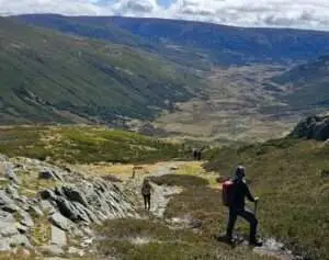 sanabria,