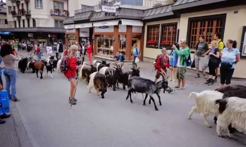 alpes, chamonix, zermatt, trekking, montanhismo, caminhada, ndesafios, natureza e desafios,