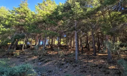 nevada, trekking, montanhismo, caminhada, ndesafios, natureza e desafios,
