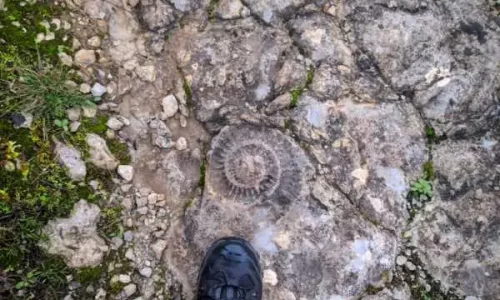 parque natural das serras de aire e candeeiros, trekking, caminhada, fornea, porto de mós, bezerra, corredoura, ndesafios, natureza e desafios,