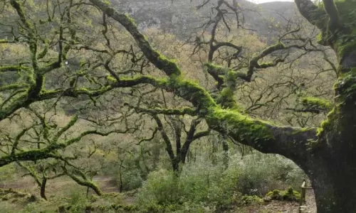 parque natural das serras de aire e candeeiros, trekking, caminhada, fornea, porto de mós, bezerra, corredoura, ndesafios, natureza e desafios,