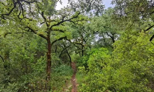 parque natural das serras de aire e candeeiros, trekking, caminhada, fornea, porto de mós, bezerra, corredoura, ndesafios, natureza e desafios,