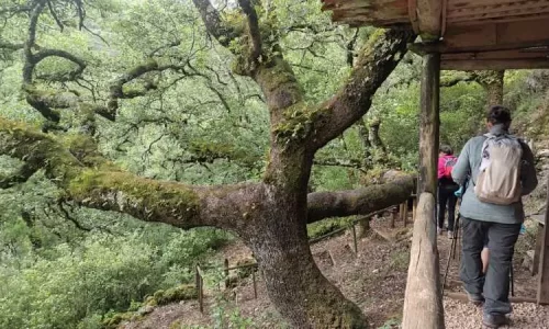parque natural das serras de aire e candeeiros, trekking, caminhada, fornea, porto de mós, bezerra, corredoura, ndesafios, natureza e desafios,