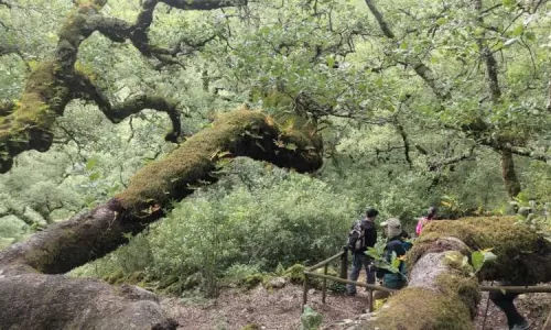parque natural das serras de aire e candeeiros, trekking, caminhada, fornea, porto de mós, bezerra, corredoura, ndesafios, natureza e desafios,