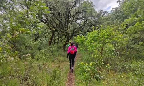 parque natural das serras de aire e candeeiros, trekking, caminhada, fornea, porto de mós, bezerra, corredoura, ndesafios, natureza e desafios,