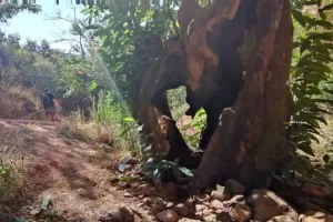 las medulas, espanha, caminhada,