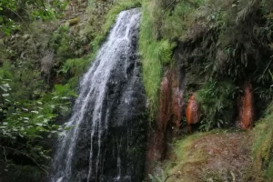 ancares, espanha, caminhada,